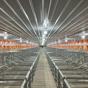 Top Sale Pig Gestation <b>Cages</b> for Pig Gestation Stainless Steel Vietnam Manufacturer - Product Image 5