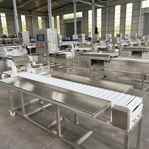 Machine automatique pour la fabrication de bâtonnets de viande séchée et de brochettes de barbecue - Product Image 2