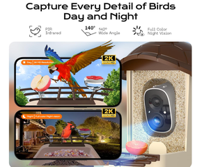 Cámara para Comedero de Aves de Alta Calidad al por Mayor, 2K HD, Panel Solar, Tarjeta de 32 GB, 4 en 1, Percha, Disfruta de la Observación de Cerca, Inalámbrica, para Exteriores - Product Image 3