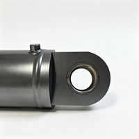 Cylindres hydrauliques à double action de haute qualité fabriqués en usine avec placage au chrome dur, acier, garantie 1 an