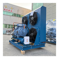 Unidad de Compresor de Refrigeración de Amoníaco Industrial de Alta Eficiencia, Sistema de Refrigeración por Compresor para Almacenamiento en Frío