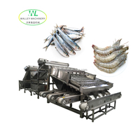 Industriële machine voor het kalibreren, sorteren en wassen van vis, fruit en groenten (garnalen, sardines etc.) - SUS304