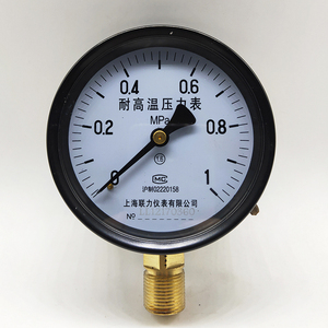 เกจวัดแรงดันสูง YTH100 0-1.6 MPa สำหรับหม้อไอน้ำ - Product Image 1
