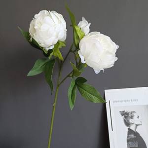 <span class=keywords><strong>Bouquet</strong></span> de fleurs artificielles en soie rose corail de haute qualité ODIS pour la décoration de la maison et des événements, pivoine artificielle - Product Image 6