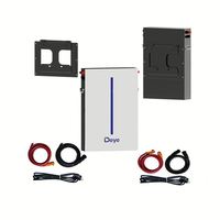 Batterie au lithium Deye murale 5 kW 51,2 V 120 Ah 6,1 kWh ESS pour stockage solaire