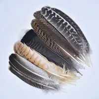 Lot de 10 Plumes d'Aigle Naturelles Véritables, Plumes Brutes pour Décoration, Artisanat de Faon, Accessoires de Carnaval, Plumes pour Broderie et Décoration