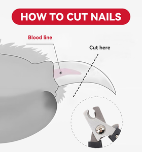 Stainless Steel Pet Nail <b>Scissors</b> Small Style Easy-to-Use Clipper Hair Cutting Soft Rubber Plastic <b>Dogs</b> Cats Rabbits Birds - Product Image 2