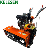 Désherbeuse à haute efficacité KELESEN, machine à désherber performante, mini-désherbeuse à prix bas