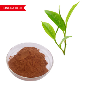 Grosir ekstrak teh hijau organik 98% polifenol 98% Epigallocatechin Gallate EGCG - Product Image 2