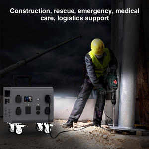 Factory Direct DPS-3000 Bi-directional Inverter 3000W Fast Charging <strong>Power</strong> Inverter for Backup <strong>Power</strong> Supply - Product Image 5
