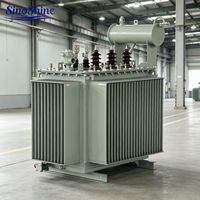 Transformateur de distribution immergé dans l'huile SinoShine S13 250kVA triphasé 10kV/0.4kV 50Hz enroulement de cuivre pur à