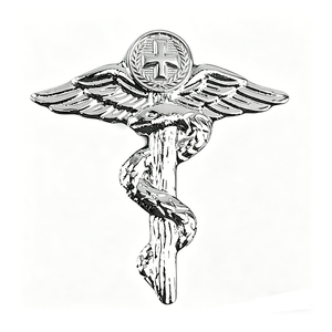 Badge en métal personnalisé, croix ailée de caducée médical en relief 2D, pour l'honneur du personnel médical, broche souvenir - Product Image 1