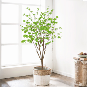 Venta caliente Artificial japonés campana árbol bonsái Enkianthus árbol hojas plantas en maceta realistas para Centro Comercial <span class=keywords><strong>restaurante</strong></span> decoración 5 pies - Product Image 1
