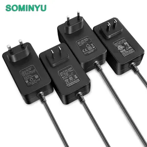 TUV CE GS Approved AC DC Adapter 12V 1A 2A 3A 36W Power Adaptor for Air Purifier