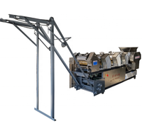Machine professionnelle de fabrication de pâtes alimentaires, appareil Commercial approuvé CE, livraison gratuite