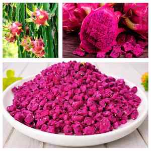 Cubos de Fruta del Dragón Roja Liofilizados Saludables |   Snacks de Fruta Crujiente Natural al por Mayor, Fabricante de Marca Privada OEM - Product Image 4