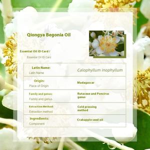 น้ำมันตานามูบริสุทธิ์ 100% จากธรรมชาติ (Calophyllum Inophyllum) สำหรับรอยแผลเป็นจากสิว รอยแตกลาย ฟื้นฟูผิว ซ่อมแซมผิว วัตถุดิบ - Product Image 2