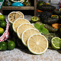Tranches de citron vert lyophilisées en gros |   Pack de 500g en vrac pour garniture de cocktail infusé à froid au thé aux fruits |   Mélange sur mesure disponible