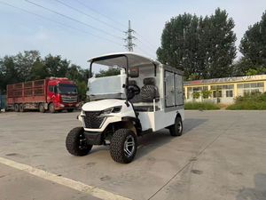 Carrito de Golf con Plataforma de Carga, Carrito de Golf Todoterreno de 4 Ruedas y 2 Plazas - Product Image 1