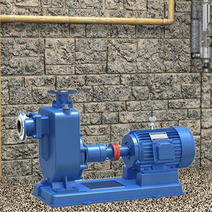 סדרת zw משאבת חשמל בלחץ גבוה קטן שפכים צנטריפוגלי ביוב עצמית עם 0.5hp dc מנוע גבוה 2hp/5hp - Product Image 3