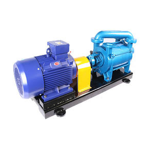 2sk वैक्यूम इरेक्शन पंप एयर सक्शन पंप वैक्यूम सक्शन पंप - Product Image 3