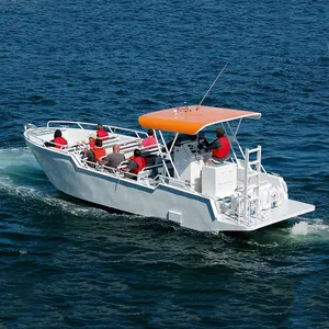 Ecocampor manufacturer aluminum touristic passenger work boat hardtop 22 seats with hardtop for sale