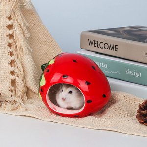 Maisonnette en céramique pour petits animaux, abri pour hamster, cabane pour chinchilla, cage pour animaux de compagnie, accessoire de cage mignon - Product Image 1