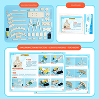 Kits de Materiales para Experimentos Científicos Caseros y Pequeños Proyectos Tecnológicos, Barcos Piratas de Madera para Hacer uno Mismo, Instalaciones de Entretenimiento Eléctricas