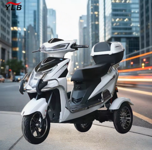 Moto <span class=keywords><strong>électrique</strong></span> pour adultes <span class=keywords><strong>1000W</strong></span> OEM d'usine, <span class=keywords><strong>Quad</strong></span> Stealth Bomber, batterie au plomb-acide 60V, en promotion à prix réduit - Product Image 4