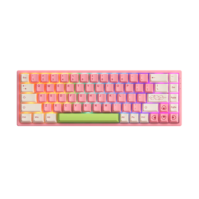 Akko 68 Keys Gaming Keyboard Hot Swap Tray Mount 2.4GHz Wireless Mechanical Keyboard 65%