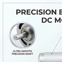 Motor DC Mikro Brushless RS 365 Magnet Permanen 12V 24V Rendah Kebisingan Ukuran Kecil untuk Kipas Pompa Mainan DIY