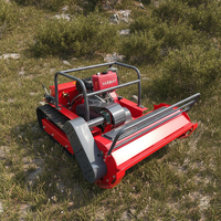 Livraison Gratuite Tondeuse Robot à Fléaux Télécommandée Tout-Terrain Agricole à Moteur Diesel CE EPA 800mm 1000mm 1200mm