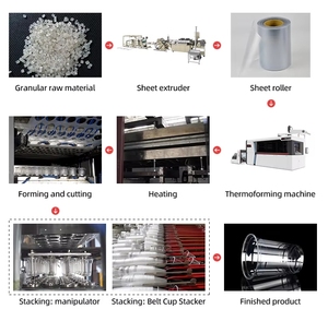 Hot Sale <strong>Plastic</strong> Thermoforming <strong>Machine</strong> for PS PET PP PVC EPS <strong>Plastic</strong> <strong>Cup</strong> Making <strong>Machine</strong> - Product Image 5