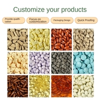 Capsules de Curcumine Pure OEM 95% Curcuminoïdes 1000mg Poivre Noir Vitamine C Supplément Adultes et Adolescents 120 Gélules Énergie Quotidienne