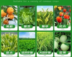 Granulés de polymère super absorbant en caoutchouc de sap de bambou et de coco hydrogel - Product Image 5