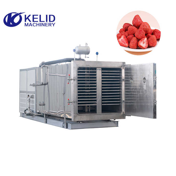 Industrial PLC Vacuum Freeze Drying Machine for Food Fruit Strawberry