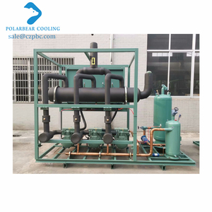 Unità di Refrigerazione Industriale Moderna con Compressore a Vite Raffreddato ad Aria per Celle Frigorifere - Product Image 3