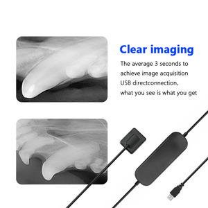 Máquina Portátil de Radiografía Dental Veterinaria Greatlife <span class=keywords><strong>Dent</strong></span>, Sensor de Rayos X Orales, Sistema de Imágenes Digitales para Radiografía Dental, Sensor <span class=keywords><strong>DR</strong></span> - Product Image 3