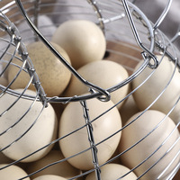 Panier à œufs en fil métallique écologique en forme de poule, support de rangement de cuisine avec poignée, capacité de 15 à 20 œufs, multifonction