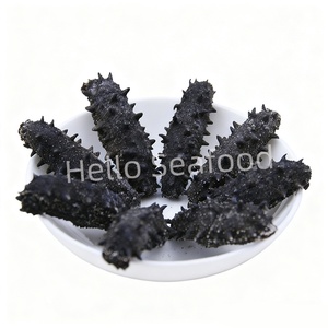 Pepino de Mar Seco Empacado a Granel Listo para Exportar con Alta Calidad - Product Image 2