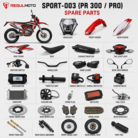 Pièces détachées de moto en gros compatibles avec Regulmoto Sport-003 PR300 PRO Z Enduro Dirt Bike