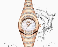 Montre à quartz Goldie GEDI pour femme avec boîtier en alliage, bracelet et cadran à aiguilles, étanche 30M, haute valeur