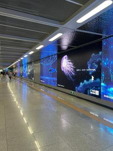 จอแสดงผล LED สีเต็มรู<span class=keywords><strong>ป</strong></span>แบบใหม่ปี 2026 ขนาด 960 * 960 มม. สำหรับใช้งานภายในอาคาร SMD P2 <span class=keywords><strong>2</strong></span>.5 มม. <span class=keywords><strong>ป</strong></span>้ายดิจิทัลในร่ม รองรับ 4K 2K 8K 3D ผนัง LED - Product Image 5