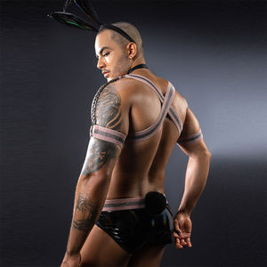 Vente en Gros <span class=keywords><strong>Sexy</strong></span> <span class=keywords><strong>Lapin</strong></span> <span class=keywords><strong>Homme</strong></span> Jeu de Rôle <span class=keywords><strong>Sexy</strong></span> Sous-Vêtements Séduction Hommes <span class=keywords><strong>Lapin</strong></span> Lingerie <span class=keywords><strong>Sexy</strong></span> Sous-Vêtements Gay - Product Image 5
