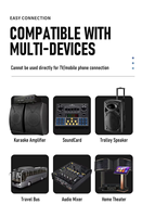 Système de microphone dynamique sans fil rechargeable Aurora Sound U8, micro unique pour karaoké, diffusion en direct et performance