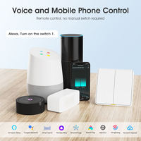 Application vocale de synchronisation Alexa Google bouton poussoir mural pas neutre pas de capacité interrupteur Zigbee intelligent pour allumer/éteindre la lumière