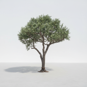 Nuevo Olivo Artificial Grande, Personalizable, Moderno, Hecho a Mano, Realista, Ecológico, Duradero, de Vidrio Verde Sintético para Interiores - Product Image 1