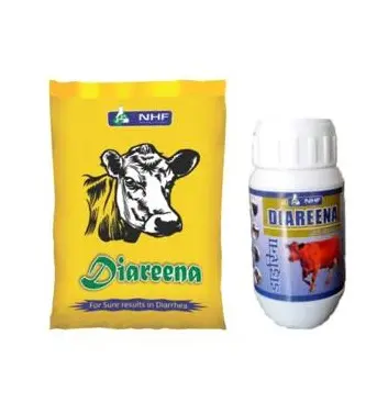 Veterinary herbal medicine for the treatment of Infection diarrhea and Gut integrity in cattle Horse Sheep Goat