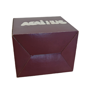 12x12x12 curigated nhiều lớp cách điện nhôm lá nhiệt bảo vệ bao bì hộp lạnh chuỗi dập nổi xử lý in ấn - Product Image 6