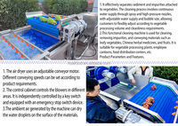 Ligne automatique de nettoyage et de séchage des raisins pour la production de raisins secs biologiques